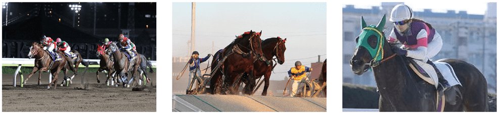 地方競馬って何？